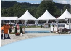 NM Lag og finaler i Norgesserien